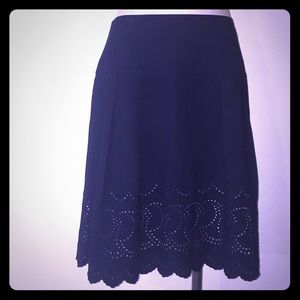 🎉HP🎉Ann Taylor navy blue A-line cute skirt
